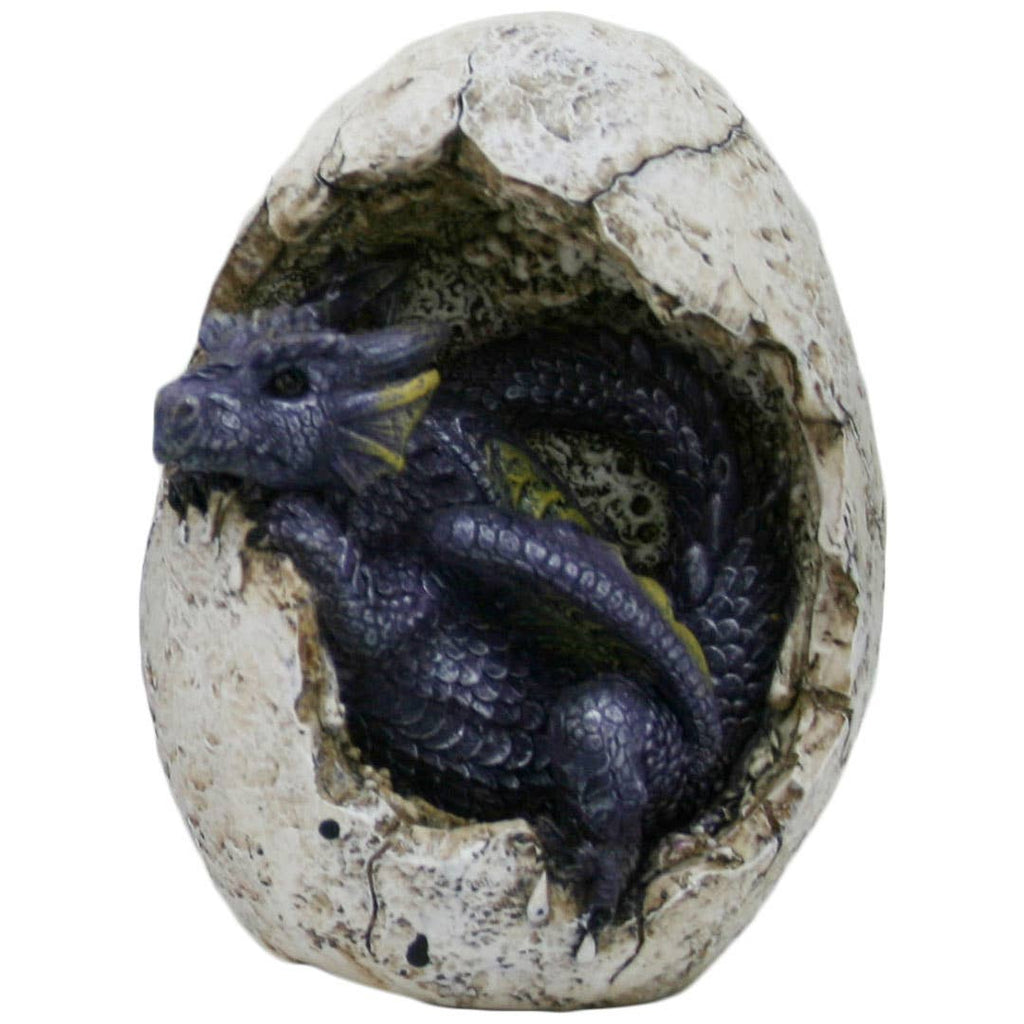 Black Dragon Hatchling