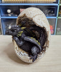 Black Dragon Hatchling