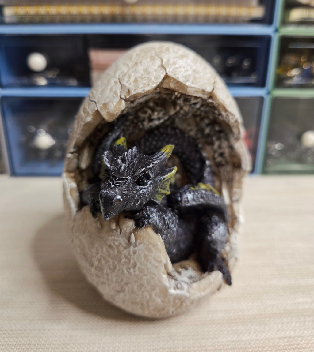 Black Dragon Hatchling